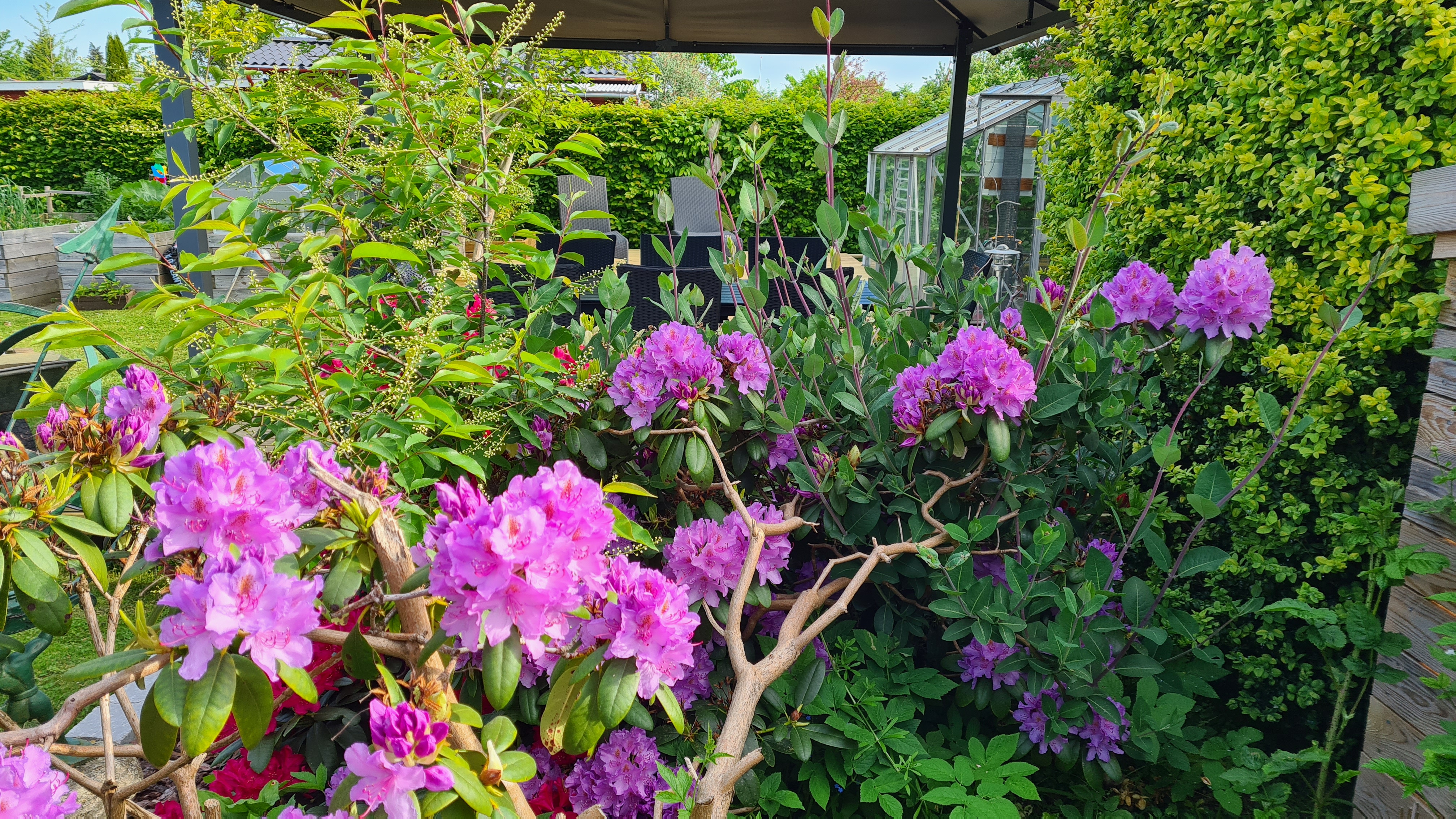 2021-06-06 08.29.31.jpg